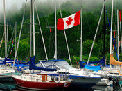 Foggy day at the Yacht club