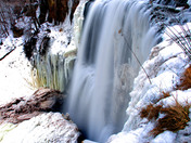 webster's Fall winter version