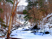 Webster's Falls winter version
