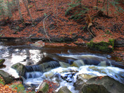 Webster falls river downstream from falls