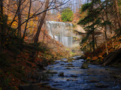 Webster Falls