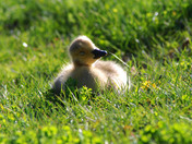 Enjoying the sunshine