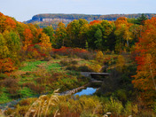 Fall colors in the Hilton Falls conservation area