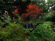 Spring Creek  High Park