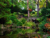 Spring Creek running through High Park