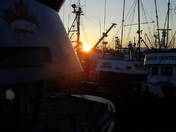 Dusk in Harbour