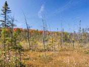 Axe Lake Provincial Conservation Reserve