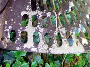 Chair seat in the garden