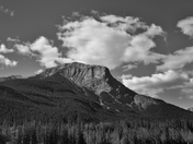 jasper-mtn72bw.jpg