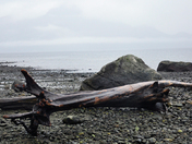 Porteau Cove_DSC7603_.jpg