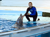 Summer Project - Swim with the Dolphins