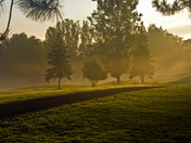 Morning Mist Northern Ontario