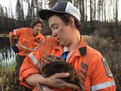 Young forest fighters fighting to control a blaze that threatens Kirkland Lake, 