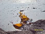 Gachis de pÃ‡trole