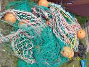 La raie mise au rancart