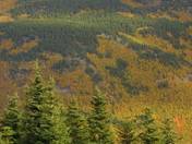 Cape Breton Highlands National Park