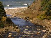 Cape Breton Highlands National Park