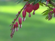 apr 18 photo day 053.JPG