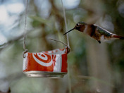 It's the real thing?