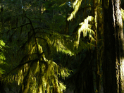 Well Dressed In Green