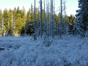 Where Winter Meets Spring