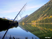 Autumn reflex on Duffey Lake Prov Park