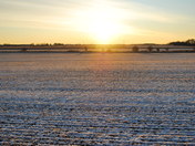 Frosty fall morning north of St. Marys Ont.