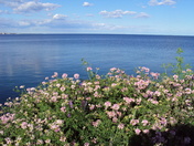 summer day -- lake Ontario