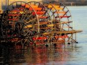 Paddlewheeler