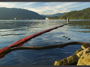 Burrard Oil Spill-Beaches_044_Framed.jpg