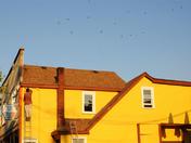 Queen's Street Store