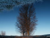 19 which way is up.JPG