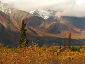 Kluane National Park