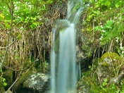 Kokanee Park in the spring