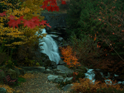 Cottonwood Park 2 .jpg