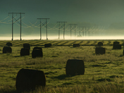 Power lines and Hay.jpg