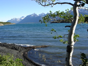 Ts'yl-os Prov Park, Chilko Lake wind