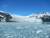 Kenai Fjords