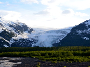 Kenai Fjords-Exit Glacier