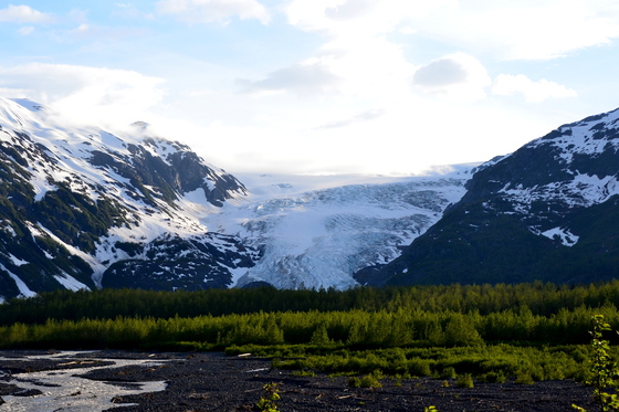Kenai Fjords-Exit Glacier
