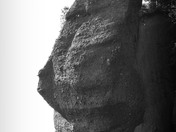  A face among the Flower pots in Flower Pot Park