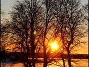 Sunrise at Government House