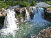 old man-crow 041.jpg