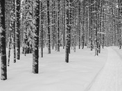 Winter on the Hersey Lake Trails in Timmins, ON