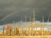 Rainbow during fall