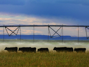 Not Waiting for the Rain...