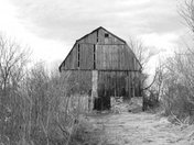 Faded Barn