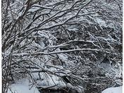 Last snow fall  for the far north maybe