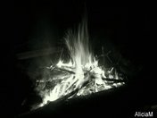 Black & White Campfire