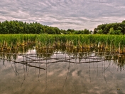 Sackville Waterfowl Park